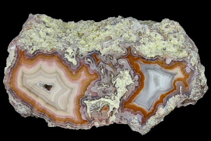 Cut & Polished, Banded Laguna Agate #114968